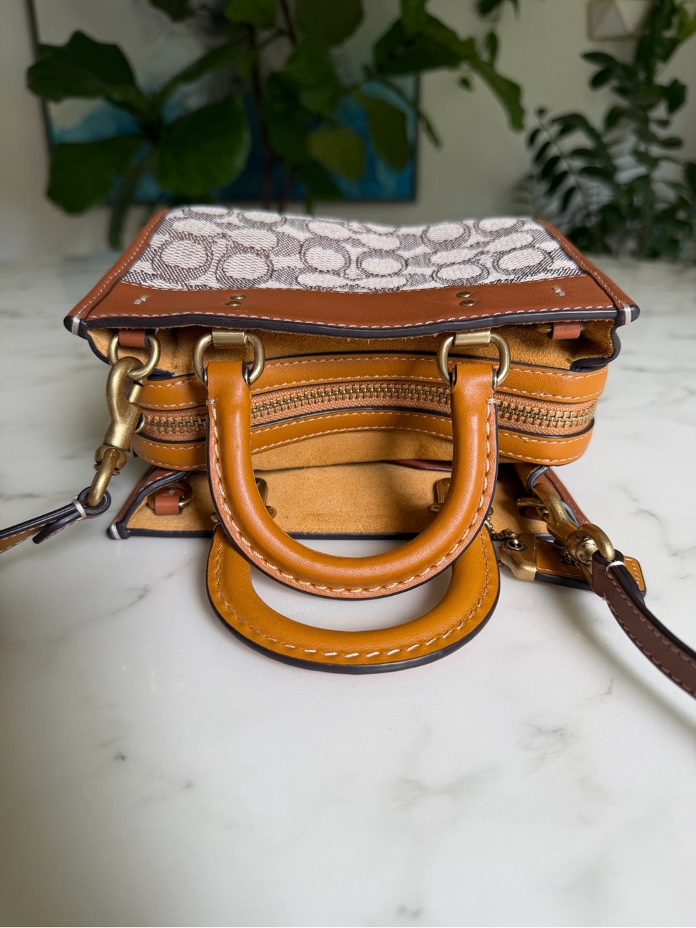 Coach Rogue 17 In Signature Textile Jacquard With Duck Motif C6164 Crossbody Bag - Picture 11 of 15